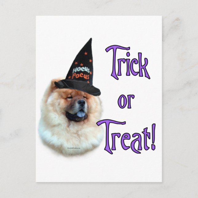 Carte Postale Chow Chow Trick (Devant)