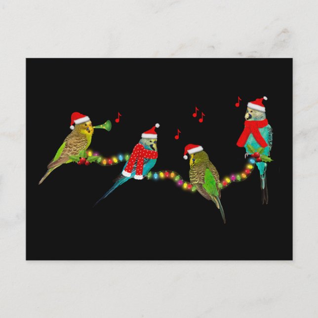 Carte postale Christmas Budgie Frenzy (Devant)