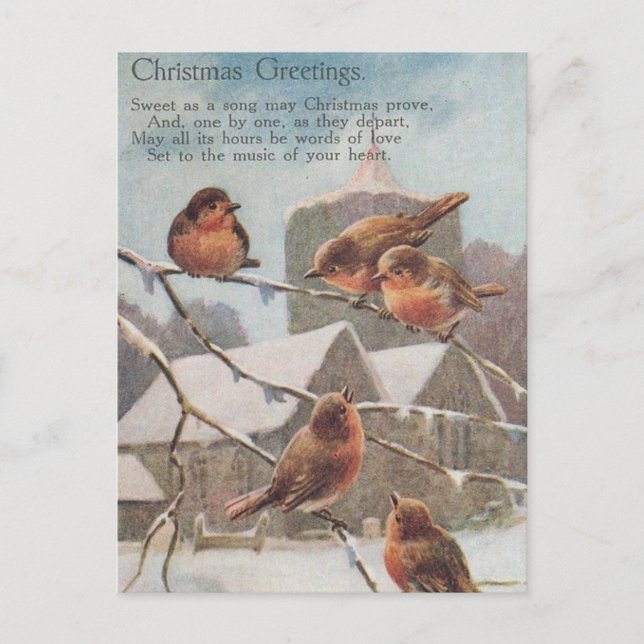 Carte Postale CHRISTMAS GREETINGS  five robins on branches (Devant)