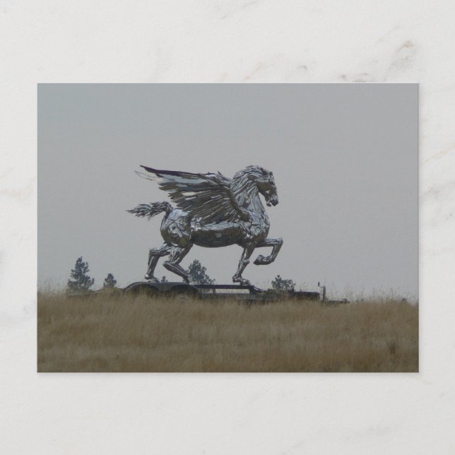 Carte Postale Chrome cheval (Devant)