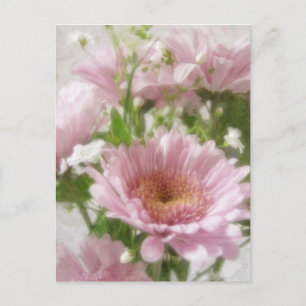 Carte Postale Chrysanthèmes rose 5 Élégance