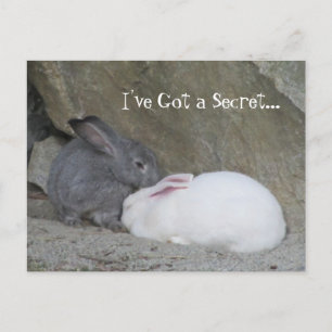 Carte Postale Chuchoteur de lapins