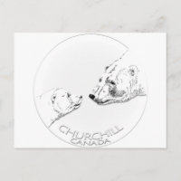 Churchill Souvenirs Ours Polaire Chemises & Cadeau