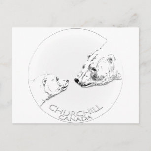 Carte Postale Churchill Souvenirs Ours Polaire Chemises & Cadeau