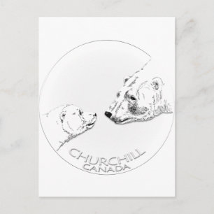 Carte Postale Churchill Souvenirs Ours Polaire Chemises & Cadeau