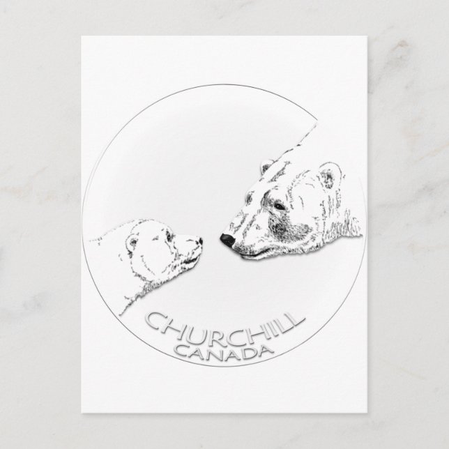 Carte Postale Churchill Souvenirs Ours Polaire Chemises & Cadeau (Devant)