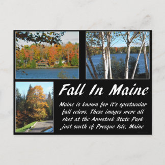 Carte Postale Chute Dans Le Maine