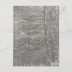 Carte Postale Chute de neige