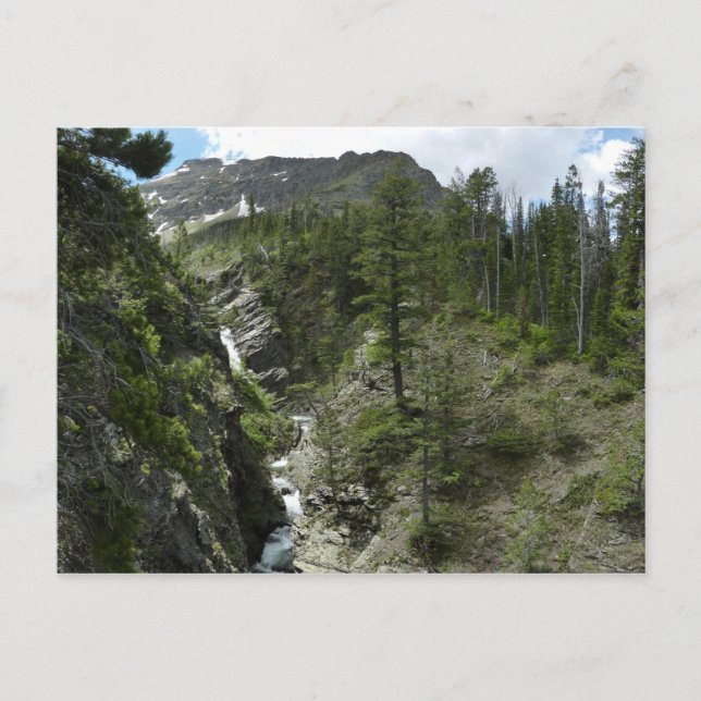 Carte Postale Chutes d'Appistoki et pic au parc national Glacier (Devant)