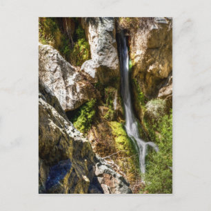 Carte Postale Chutes Darwin