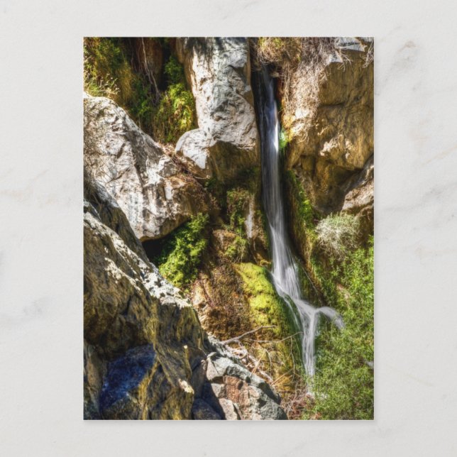 Carte Postale Chutes Darwin (Devant)