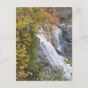 Carte Postale Chutes de Bald River