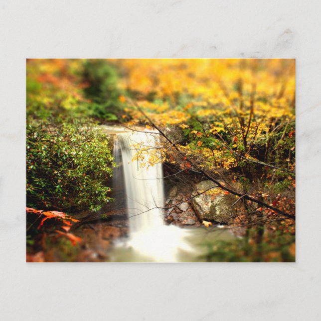 Carte Postale Chutes de concombre Couleurs d'automne (Devant)