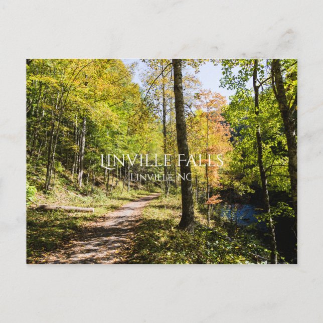 Carte Postale Chutes de Linville (Devant)
