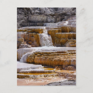 Carte Postale Chutes de Mammoth Springs