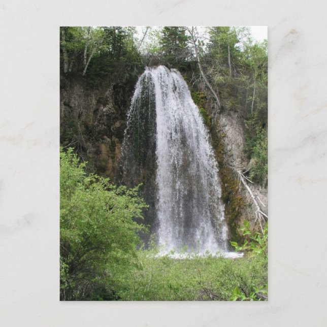 Carte Postale Chutes de poisson rouge (Devant)
