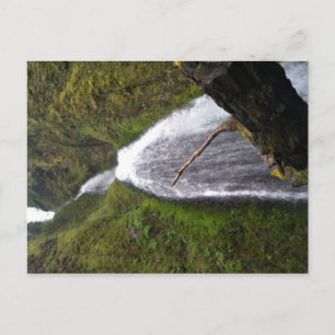 Carte Postale Chutes de Wahkeena, Oregon