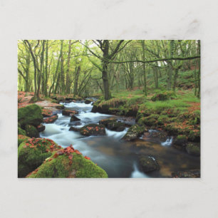 Carte Postale Chutes Golitha