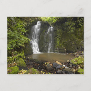 Carte Postale Chutes Horseshoe, chutes Matai