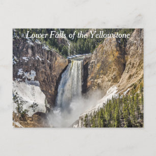 Carte Postale Chutes inférieures du Yellowstone
