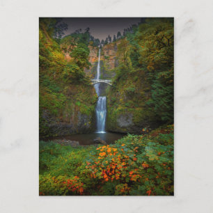 Carte Postale Chutes Multnomah   Columbia River Gorge, Oregon