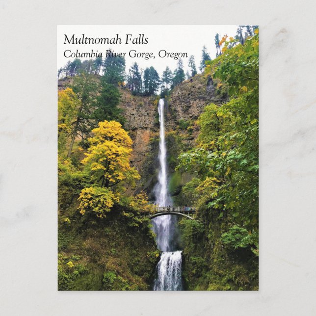 Carte Postale Chutes Multnomah, Columbia River Gorge, Oregon Pos (Devant)