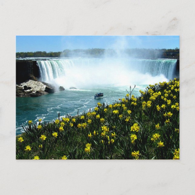 Carte Postale Chutes Niagara (Devant)