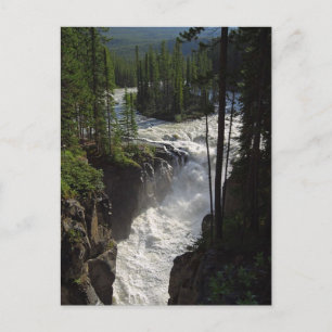 Carte Postale Chutes Sunwapta Dans Le Parc National Jasper