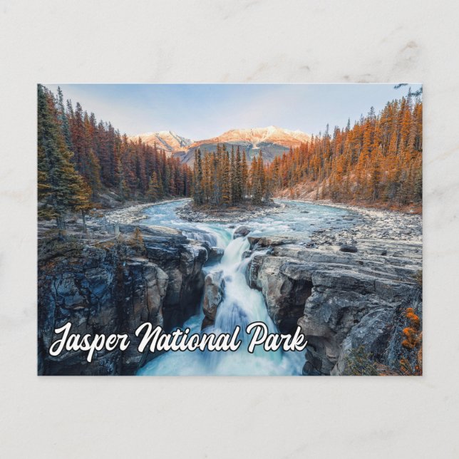 Carte Postale Chutes Sunwapta, Parc national Jasper (Devant)