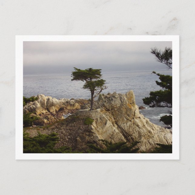 Carte postale Chypre unique (Devant)