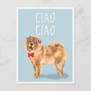 Carte Postale Ciao Ciao dit le chien Chow Chow Drôle de jeu de m