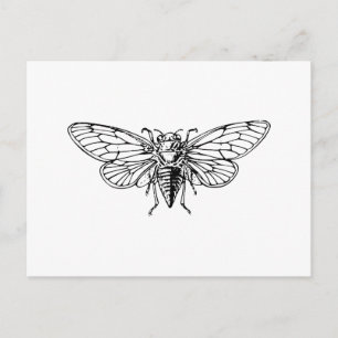 Carte Postale Cicada