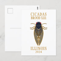 Cicada Brood XIII ILLINOIS 2024 Texte personnalisé