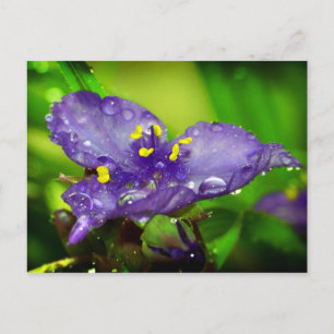 Carte Postale Ciel bleu