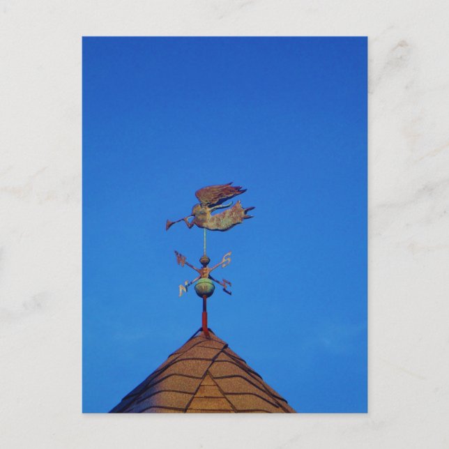 Carte Postale Ciel bleu d'Angel Weather (Devant)