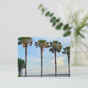 Carte Postale Ciel bleu et arbres