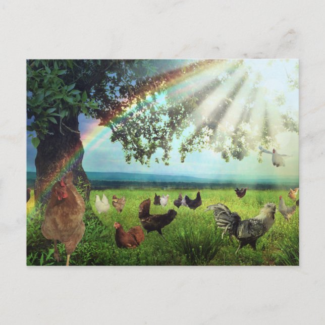 Carte Postale Ciel de poulet (Devant)