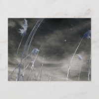 Ciel ensoleillé foncé / Photographie infrarouge