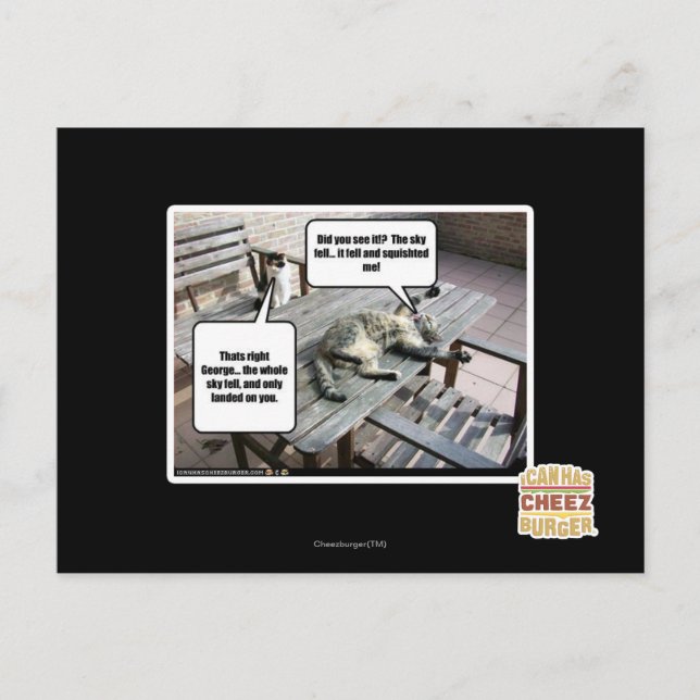 Carte Postale Ciel est en train de tomber (Devant)