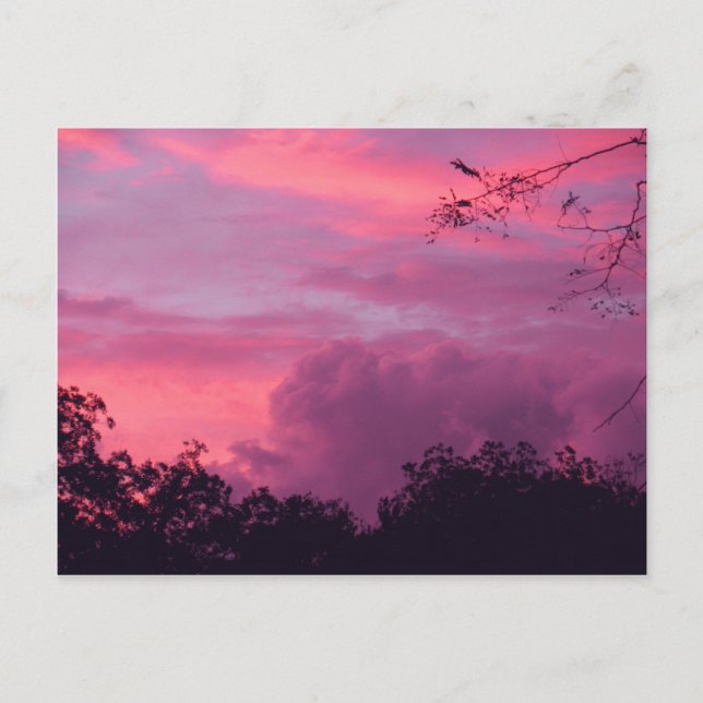 Carte Postale Ciel Sunrise Pink et Purple Sunset Ciel Photo (Devant)