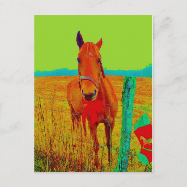 Carte Postale Ciel vert, arc rouge Horse : ajouter le nom (Devant)