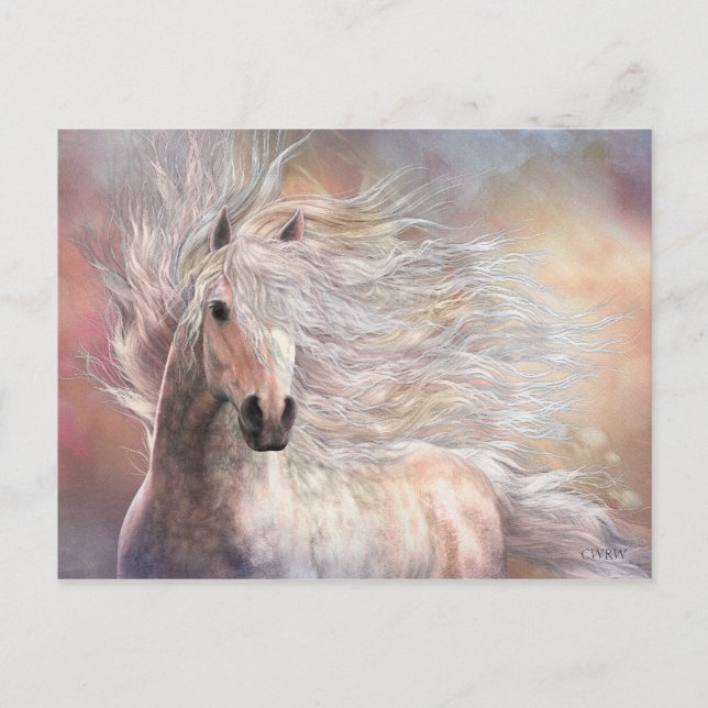 Carte postale Cielo (Devant)