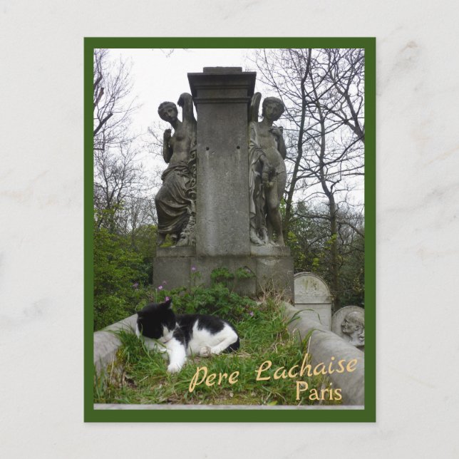 Carte Postale Cimetière Chat avec texte (Devant)
