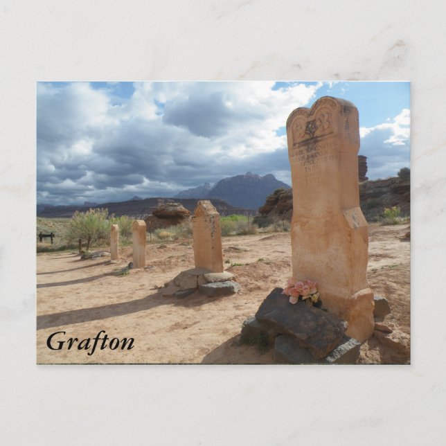 Carte Postale Cimetière - Grafton (Devant)