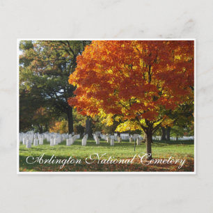 Carte Postale Cimetière national d'Arlington