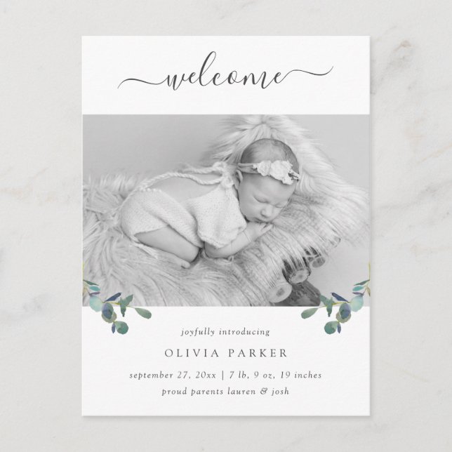Carte Postale Cimier d'Eucalyptus | Faire-part de naissance phot (Devant)