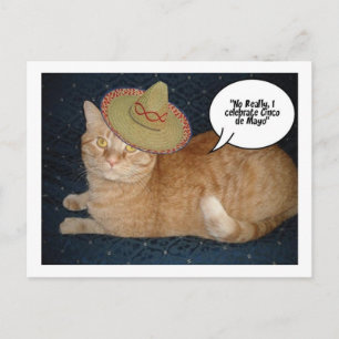 Carte Postale Cinco de Mayo