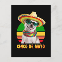 Cinco De Mayo Chapeau Chihuahua Avec Lunettes De S