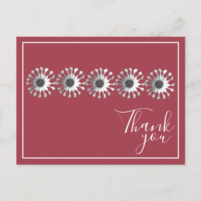 Carte Postale Cinq marguerites blanches Fond rouge Merci (Devant)