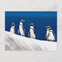 Cinq pingouins accrochés à une photo rock en Afriq